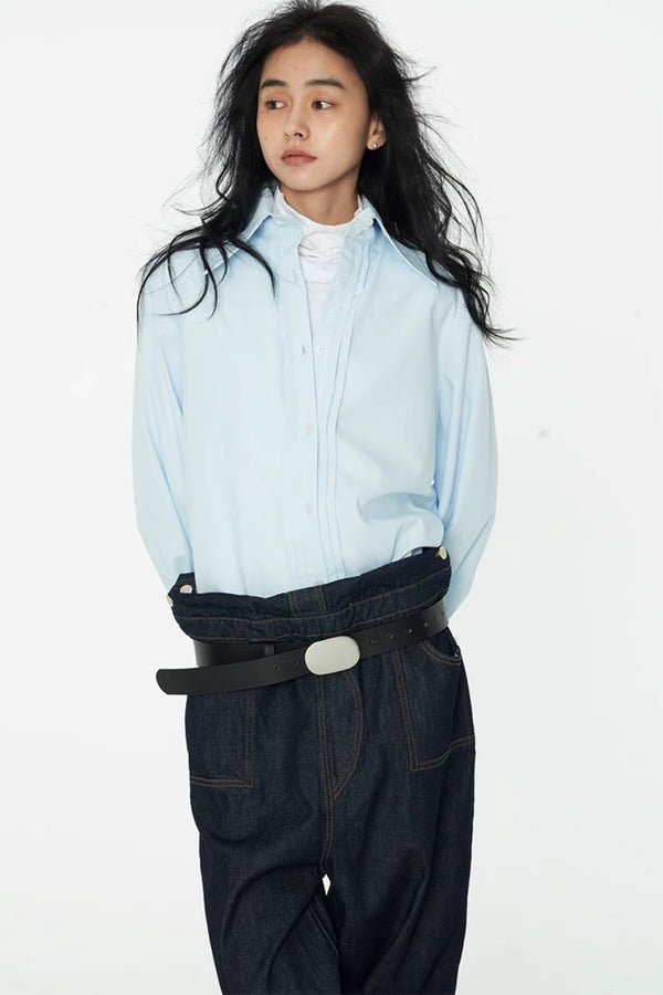 Pleated Lantern Sleeve Shirt