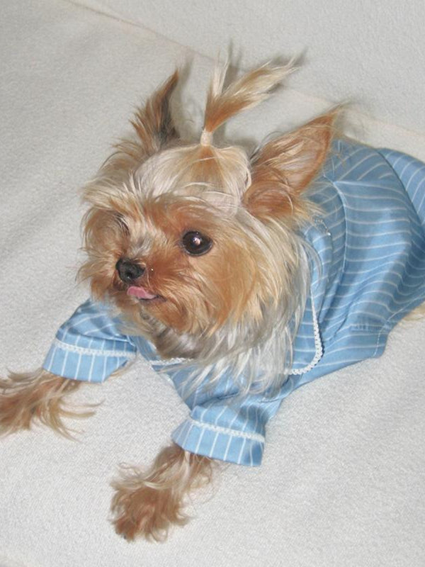 Blue Satin Striped Pet Pajamas