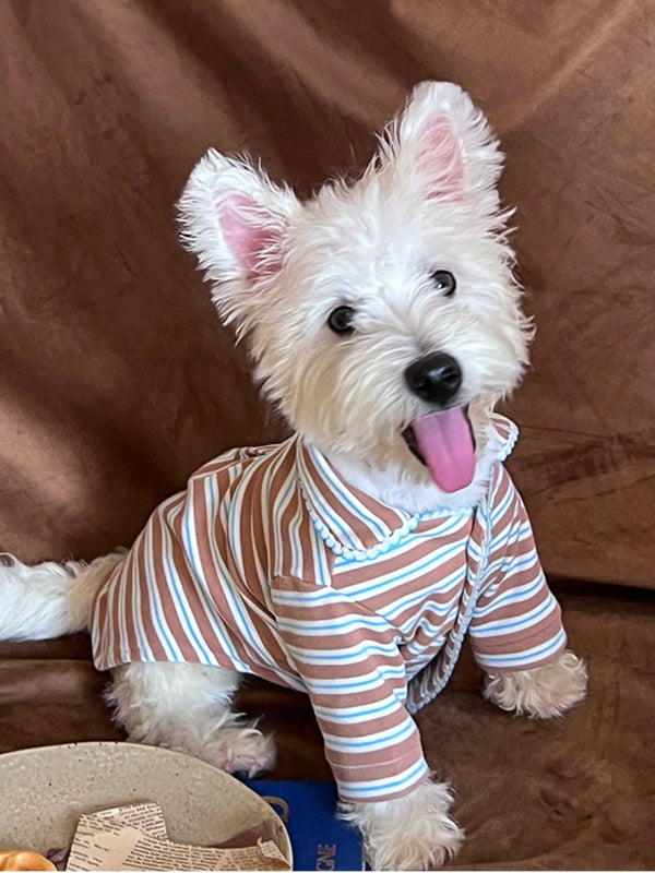 Vintage Brown and Blue Striped Pet Pajamas